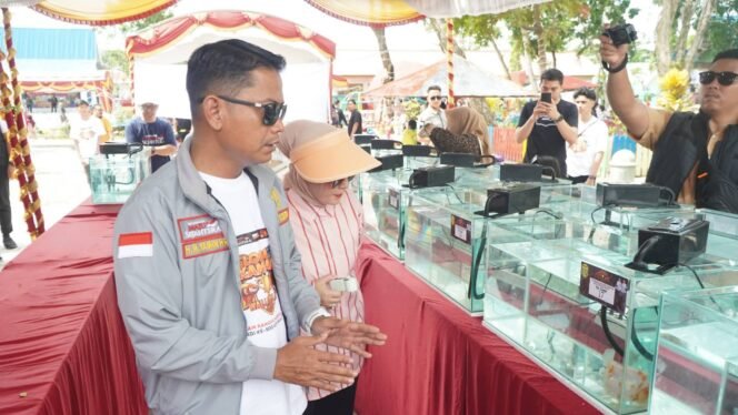 
 Peringatan 500 Tahun, Banjarmasin Gelar Lomba Ikan Hias Wali Kota Cup 2026