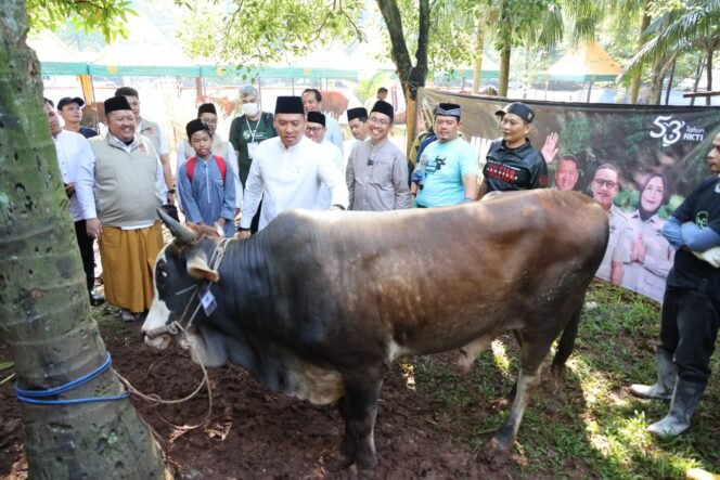 
 Pasokan Aman, Wamentan Jamin Ketersediaan Hewan Kurban Nasional