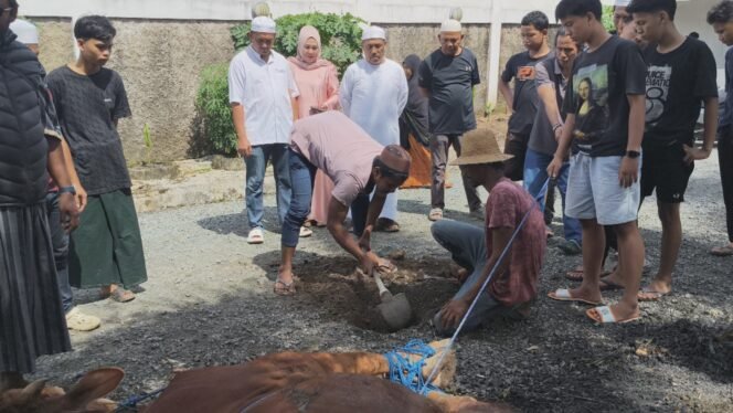 
 Rayakan Iduladha 1447 H, PT BMB Sembelih Tujuh Ekor Sapi Kurban