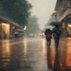 Sumber : Pixabay