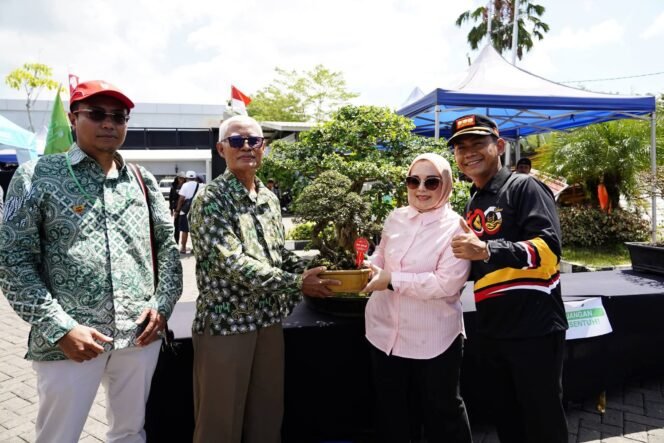 
 Local Expo Jumpa Bonsai Fest 2026 Dibuka, Jadi Ajang Penghobi Bonsai Pamerkan Karya