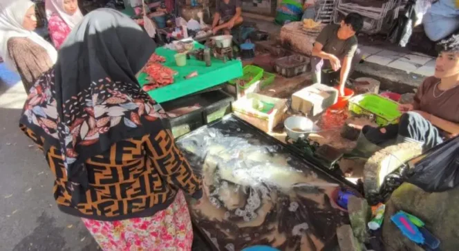 
 Pasca Iduladha, Harga Ikan Nila di Kabupaten Banjar Mulai Turun