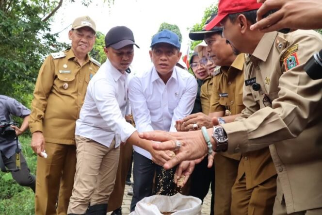 
 Wujudkan Swasembada Pangan, Wamenko Pangan Tinjau Program KSPEAN di Kabupaten HSS