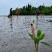Program YAKOPI Region Nias Fokus pada Restorasi Lingkungan, Pemberdayaan Ekonomi, dan Edukasi Berkelanjutan di Kepulauan Nias. foto:Tolona Gea