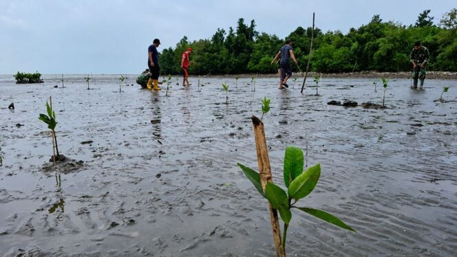 
 Program YAKOPI Region Nias Fokus pada Restorasi Lingkungan, Pemberdayaan Ekonomi, dan Edukasi Berkelanjutan di Kepulauan Nias. foto:Tolona Gea 
