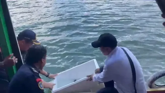 
 Jaga Kelestarian Spesies Lokal, DKPP Banjar Lepas Ikan Belida Langka di Waduk Riam Kanan