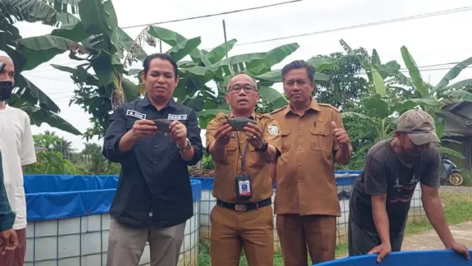 
 Panen Perdana Ikan Papuyu di Kolam Bundar, DKPP Banjar Dorong Transformasi Melalui Intan Sikapayu