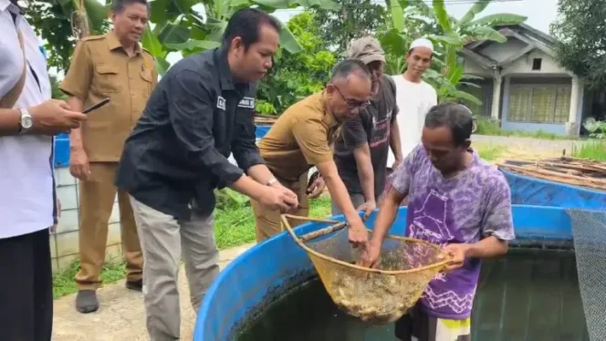 
 Anggota Komisi II DPRD Banjar Dorong Pembudidaya Sisihkan Sebagian Papuyu sebagai Bibit & Indukan