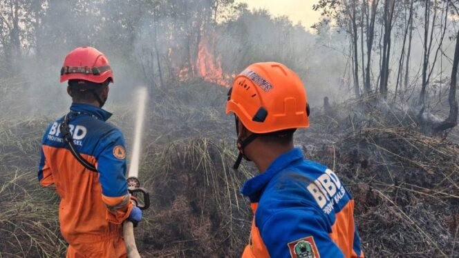 
 Karhutla di Landasan Ulin Timur, BPBD Kalsel Lakukan Pemadaman untuk Lindungi Permukiman