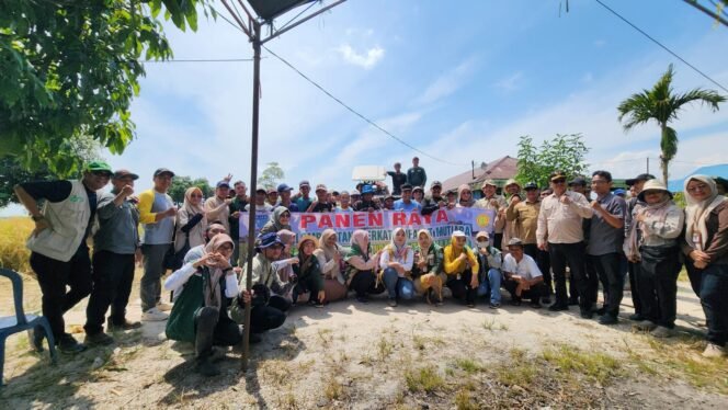 
 Hasil Ubinan di Lahan Oplah Kelurahan Gambut Menggembirakan, Jadi Bukti Efektivitas Produktivitas Padi