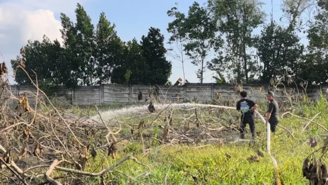 
 Penjaga Kebun & Relawan Berjuang Padamkan Kebakaran Lahan di Cindai Alus