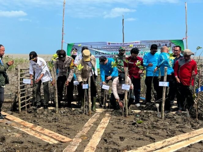 
 Dislautkan Kalsel Jaga Kelestarian Ekosistem Pesisir Melalui Rehabilitasi Mangrove di Takisung