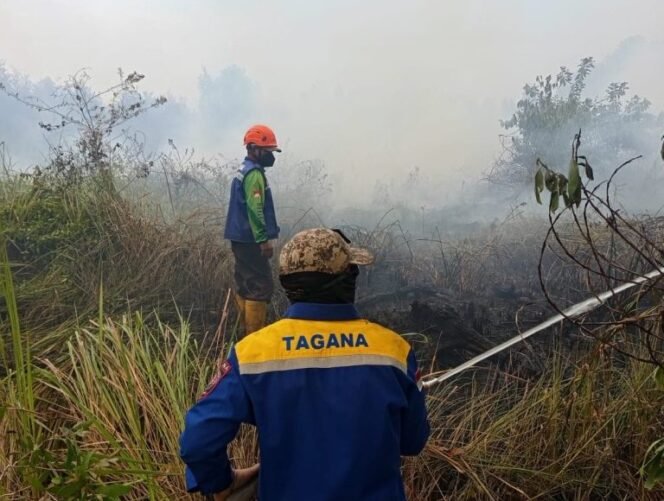 
 Presiden Prabowo Pimpin Penanganan Serentak Karhutla, Pemprov Kalsel Siapkan Tim Gabungan