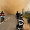 Karhutla di kawasan Pengayuan, Liang Anggang, Banjarbaru, Kalimantan Selatan, Jumat (21/8/2026) siang.Foto: Hadi Ricek.ID