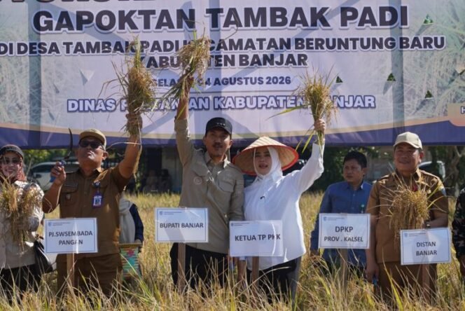 
 Bupati Banjar Hadiri Syukuran Panen Padi di Beruntung Baru, Tegaskan Komitmen Ketahanan Pangan