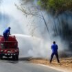Petugas melakukan penanganan karhutla di di sisi Jalan Raya Pelaihari–Banjarmasin, Sabtu (15/8/2026).Foto Hadi Ricek.ID
