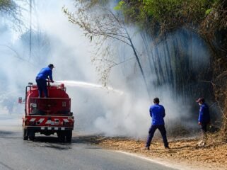Petugas melakukan penanganan karhutla di di sisi Jalan Raya Pelaihari–Banjarmasin, Sabtu (15/8/2026).Foto Hadi Ricek.ID