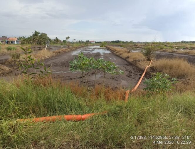 
 6.691 Hektare Lahan Pertanian Alami Kekeringan, BPTPH Kalsel Perkuat Mitigasi