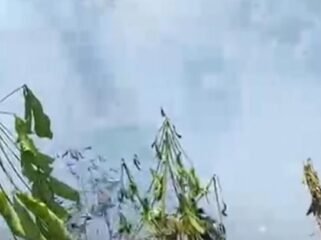 Lahan bekas kebun sayur yang terbakar sekitar 0,5 hektare di Kecamatan Bajuin.