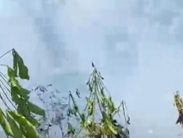 Lahan bekas kebun sayur yang terbakar sekitar 0,5 hektare di Kecamatan Bajuin.