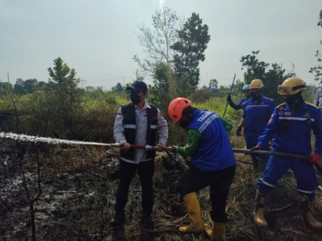 
 Karhutla Masih Pekat, Dinsos Kalsel Turunkan Tagana Lakukan Pembasahan di Banjarbaru