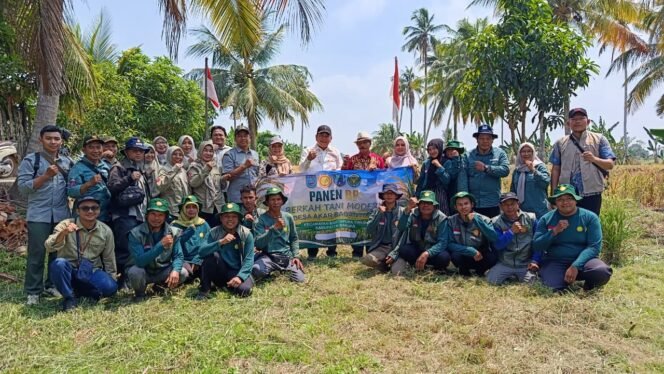 
 Brigade Pangan Tani Modern Martapura Timur Tingkatkan Produktivitas Padi Ditengah Kemarau Panjang