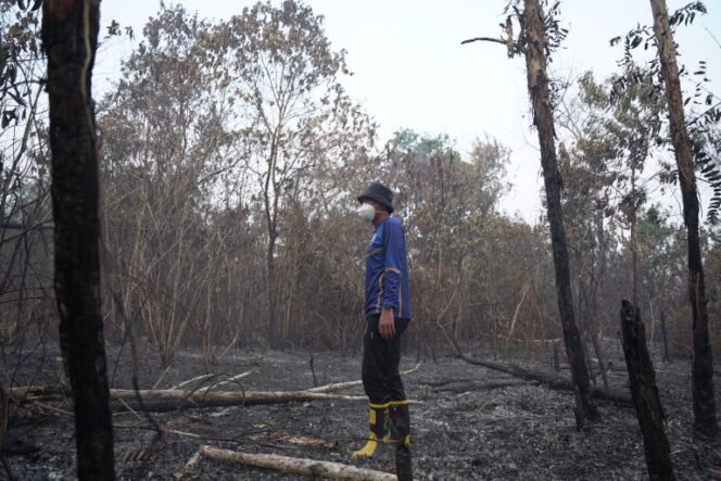 
 Kejadian Mulai Menurun, Karhutla di Banjar Terdampak 1.192 Hektare
