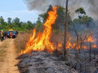 Karhutla di Desa Cindai Alus Martapura Kabupaten Banjar, Jumat (18/9/2026) foto: Ronny