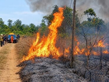 Karhutla di Desa Cindai Alus Martapura Kabupaten Banjar, Jumat (18/9/2026) foto: Ronny