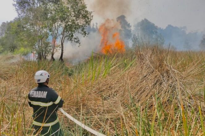 
 Kejadian Karhutla Menurun, BPBD Banjar Tetap Waspadai Bara Api di Lahan Gambut
