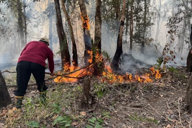 
 Karhutla Ancam Perkantoran, Kepala Distan Banjar Turun Langsung Padamkan Api