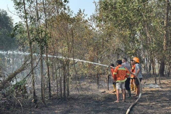 
 22 Titik Api Karhutla Tersebar di Lima Kecamatan Kabupaten Banjar