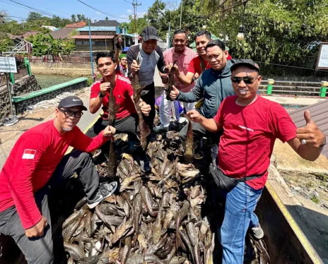 
 Berhasil Tangkap 2,4 Ton Ikan Sapu-Sapu, Guntung Paikat Dorong Adanya Program Pengendalian Rutin