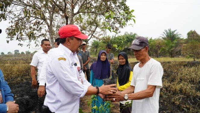 
 Lahan Terdampak Karhutla, Pemprov Kalsel Salurkan Bibit Jeruk untuk Petani di Batola