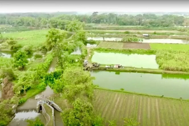 
 Mendagri Tegaskan Reforma Agraria Harus Berikan Keadilan & Manfaat untuk Masyarakat