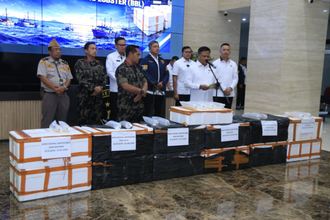 
 Ungkap Jaringan Penyelundupan Baby Lobster Lintas Negara, Polri Tangkap Dua Pelaku