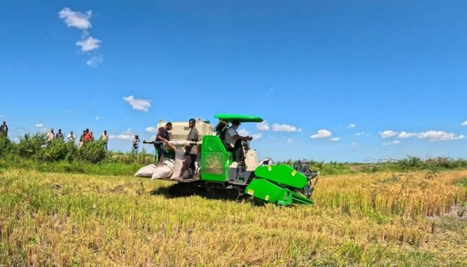 
 Kesejahteraan Petani Terus Menguat, NTP September 2026 Tembus 131,11