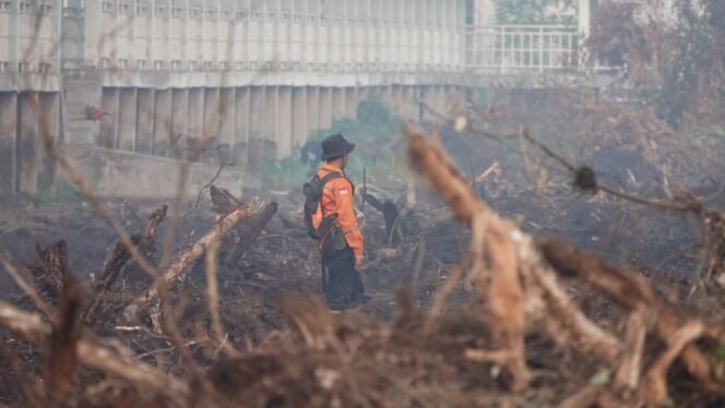 
 Padamkan Titik Api Karhutla, Gubernur Kalsel Kerahkan Ekskavator & Pembasahan Lahan di Kawasan Sambang Lihum