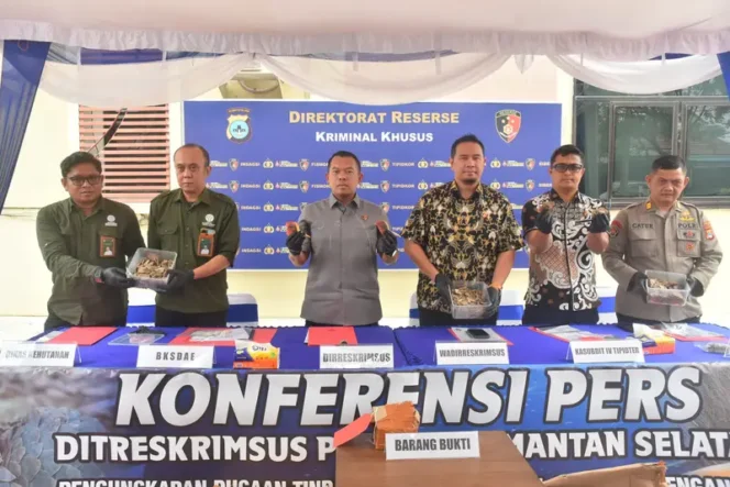 
 Ungkap Perdagangan Ilegal Satwa Dilindungi, Polda Kalsel Sita 57,8 Kg Sisik Trenggiling & Paruh Rangkong