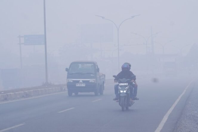 
 Karhutla di Jalan Gubernur Syarkawi Picu Kabut Asap, Pengendara Diimbau Waspada