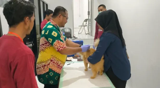 
 Distan Banjar Gelar Vaksinasi, Pengobatan hingga Sterilisasi Hewan Gratis