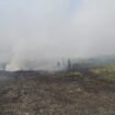 Karhutla di Salah Satu Wialyah Kabupaten Banjar. Foto:Ricek.ID