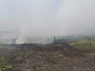Karhutla di Salah Satu Wialyah Kabupaten Banjar. Foto:Ricek.ID