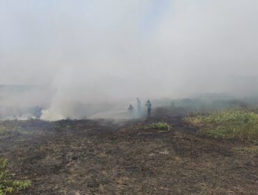 Karhutla di Salah Satu Wialyah Kabupaten Banjar. Foto:Ricek.ID