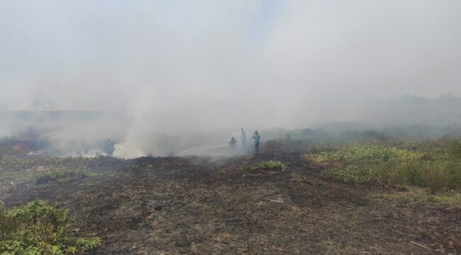 Karhutla di Salah Satu Wialyah Kabupaten Banjar. Foto:Ricek.ID