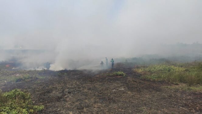 
 Karhutla di Salah Satu Wialyah Kabupaten Banjar. Foto:Ricek.ID