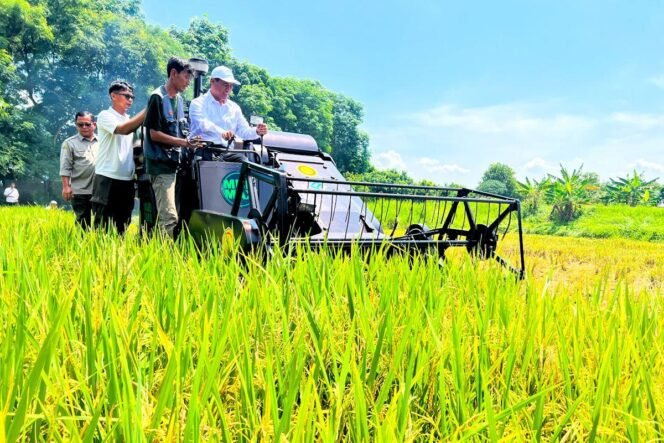 
 Produksi Padi Nasional 2026 hingga Agustus Mencapai 43,89 Juta Ton