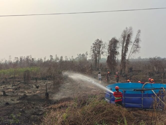 
 Drone Bantu Petakan Tiga Titik Api Karhutla di Blok Merah Banjarbaru